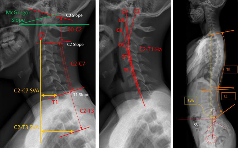 Fig. 2