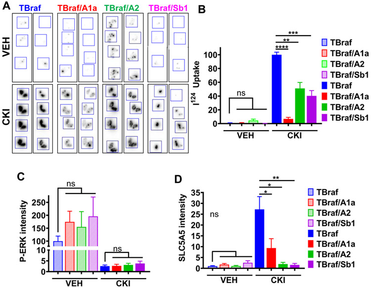 Figure 6: