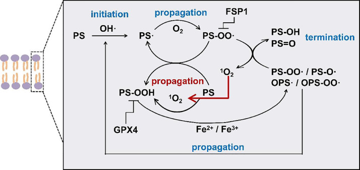 Fig 6