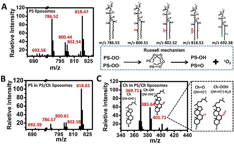 Fig 2