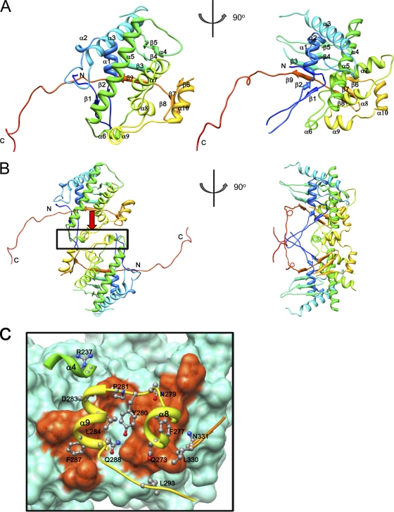 Fig 2