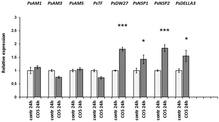 Figure 7