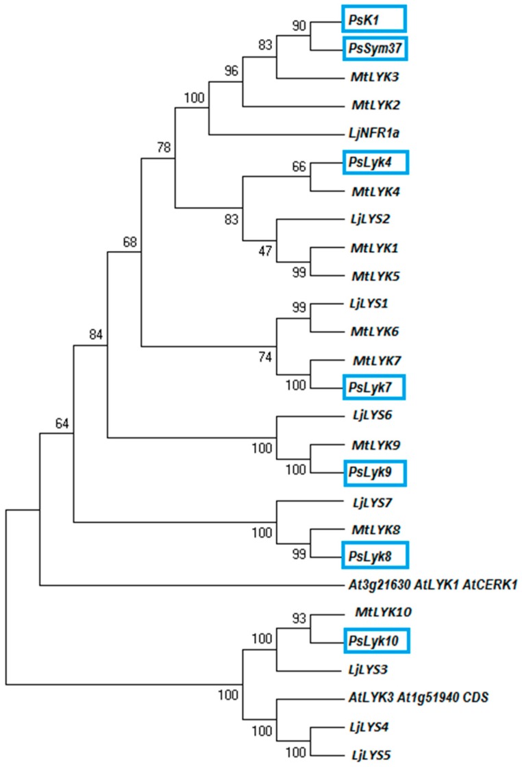 Figure 1