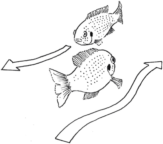 Fig. 5