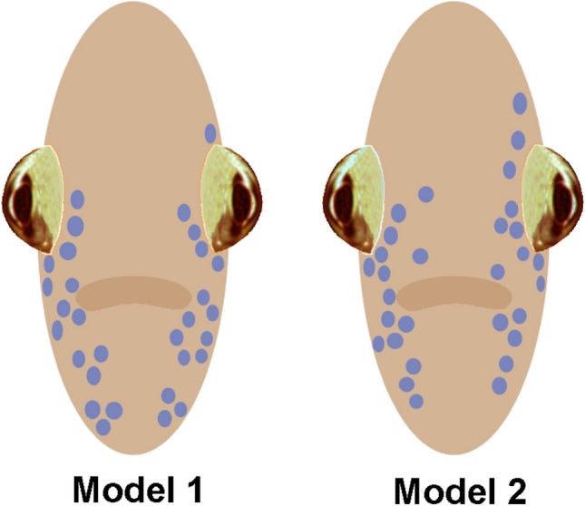 Fig. 2