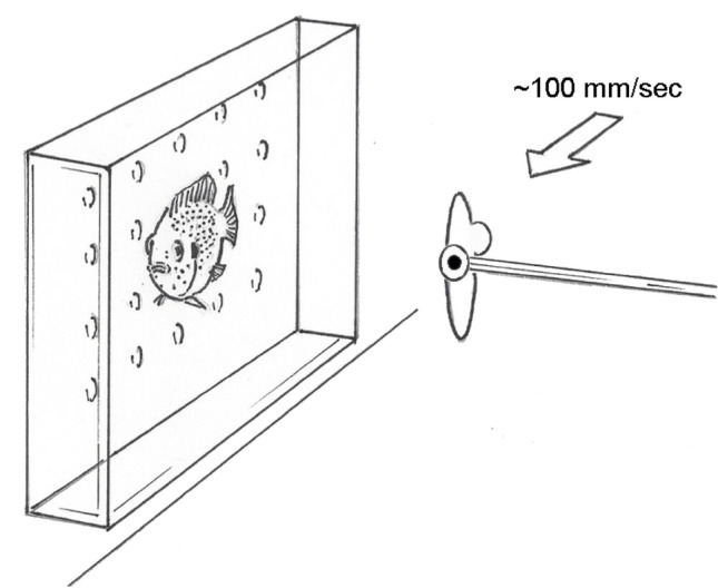 Fig. 4