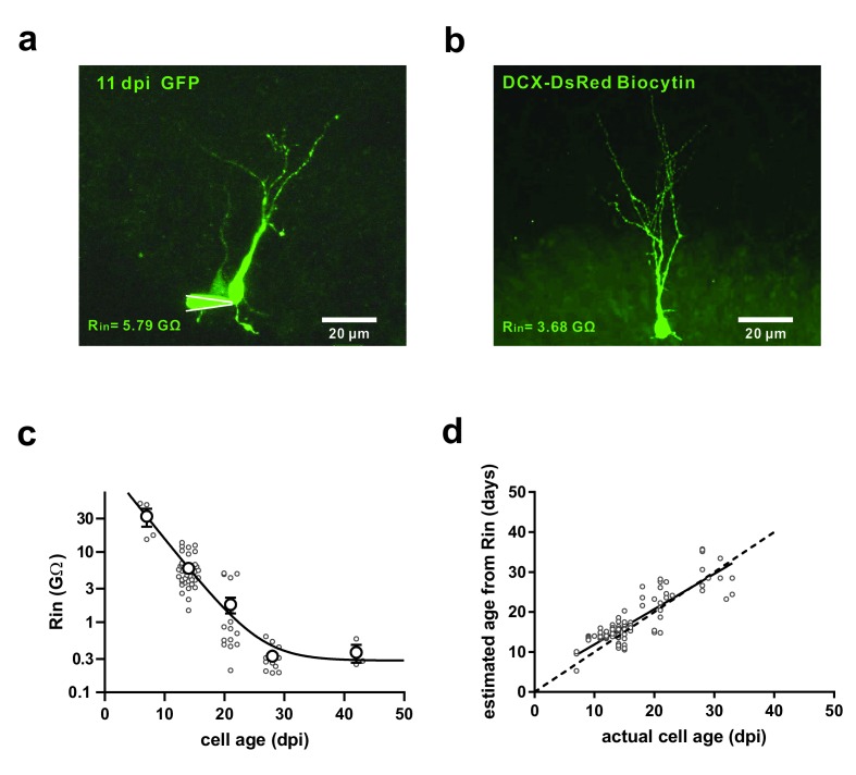 Figure 1—figure supplement 1.