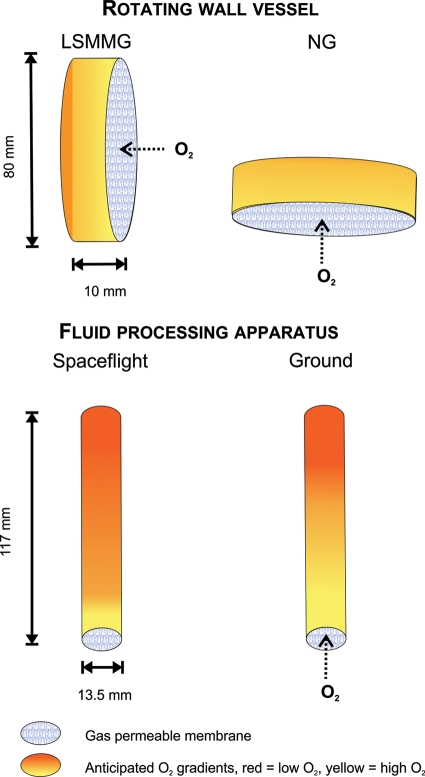 FIG. 2.