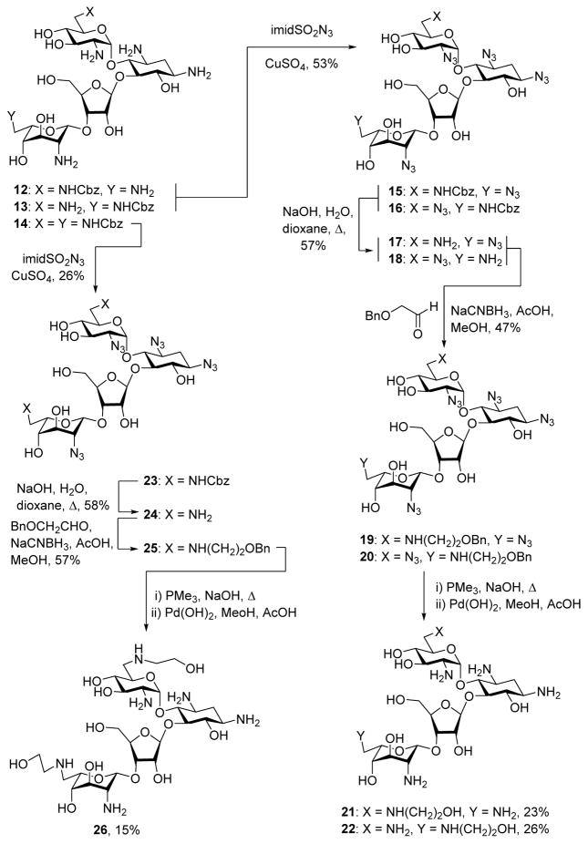 Scheme 2