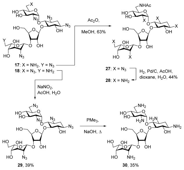 Scheme 3