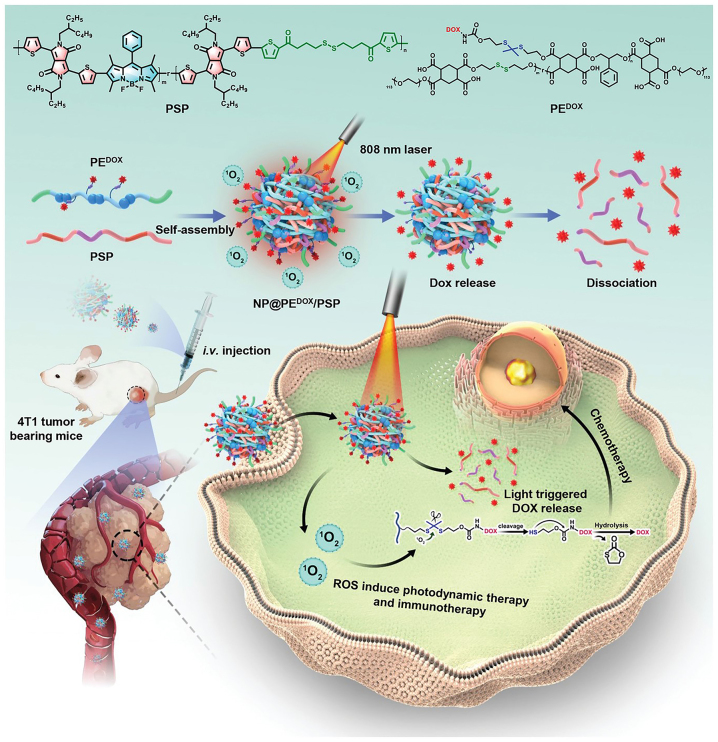 Figure 11: