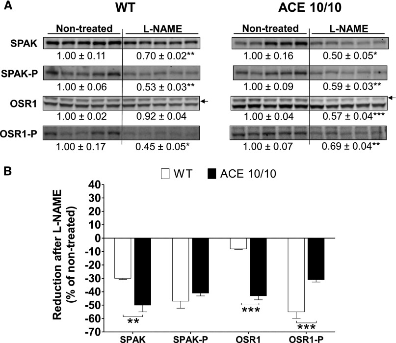 Figure 11.