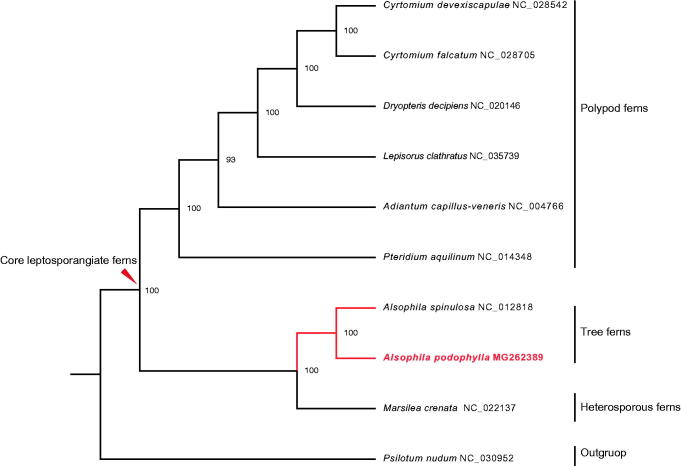 Figure 1.