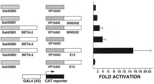 FIG. 8