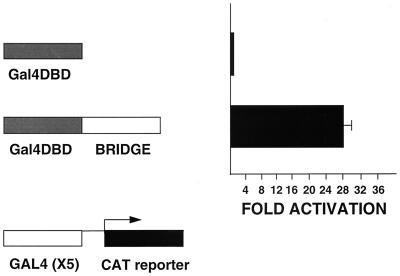 FIG. 11