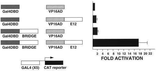 FIG. 7