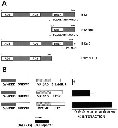 FIG. 10