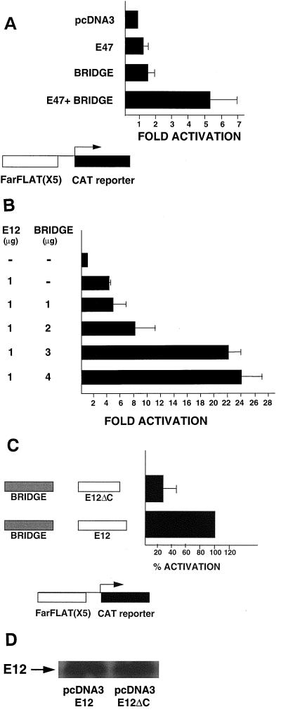 FIG. 12