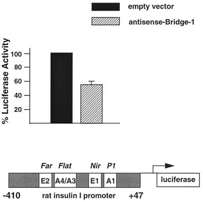 FIG. 13