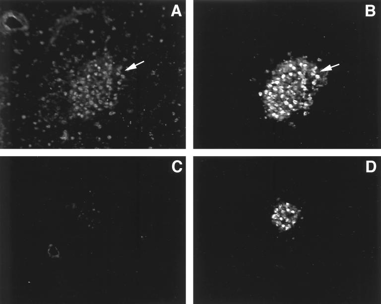 FIG. 5