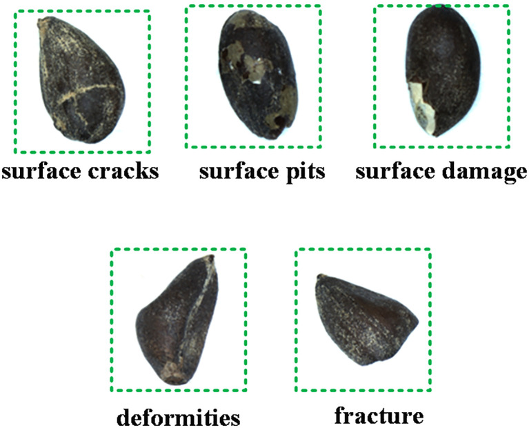 Figure 1