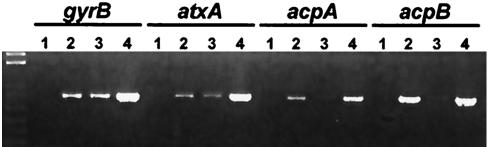 FIG. 5.