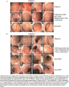 Fig. 4 (abstract P194).