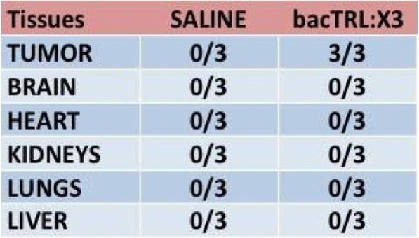 graphic file with name 40425_2018_422_Tab9_HTML.jpg