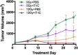 Fig. 1 (abstract P10).