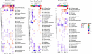 Fig. 2 (abstract P110).