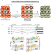 Fig. 1 (abstract P200).