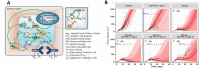 Fig. 1 (abstract P359).