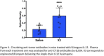 Fig. 4 (abstract P239).