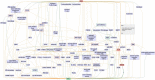 Fig. 1 (abstract P145).