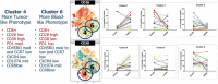 Fig. 2 (abstract P382).