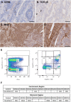 Fig. 1 (abstract P257).