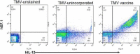 Fig. 2 (abstract P266).