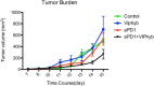 Fig. 1 (abstract P390).