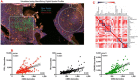 Fig. 1 (abstract P113).