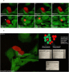 Fig. 1 (abstract P201).