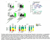 Fig. 8 (abstract P194).