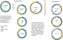 Fig. 1 (abstract P248).