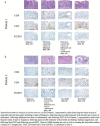 Fig. 5 (abstract P194).