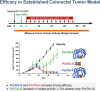 Fig. 2 (abstract P187).