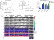 Fig. 1 (abstract P217).