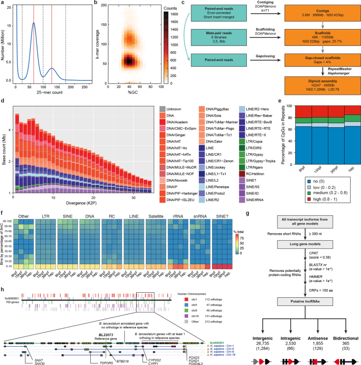 Extended Data Fig. 1