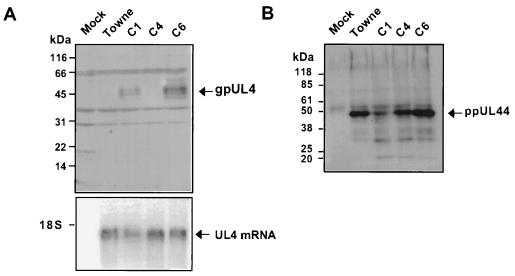 FIG. 6