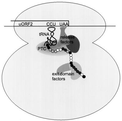 FIG. 7