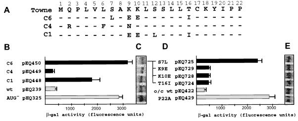 FIG. 5