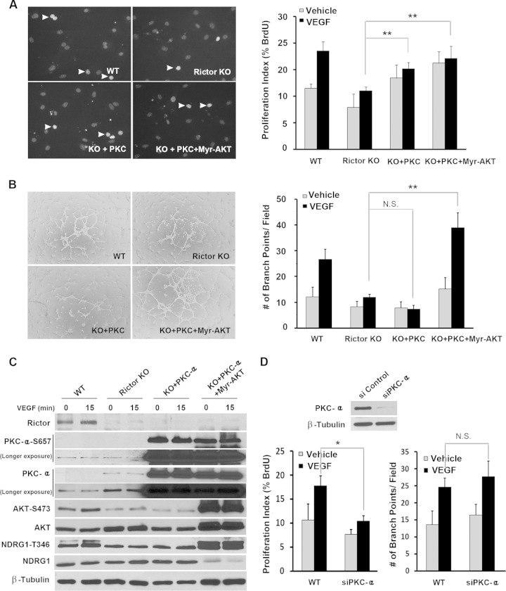 FIG 6